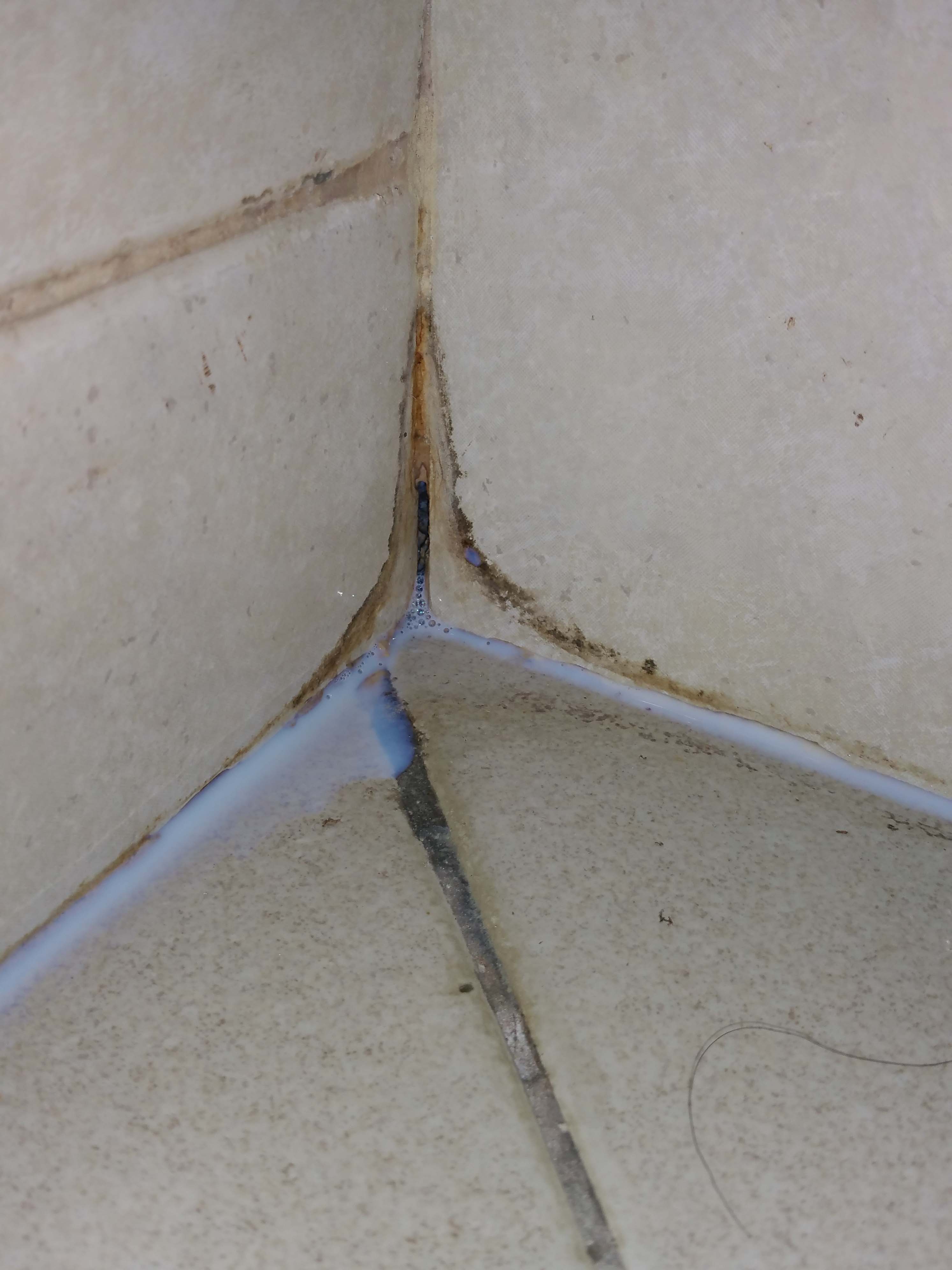 10. dye injection at wall tiles above.  dye exit indicating leak water tunnel..jpg